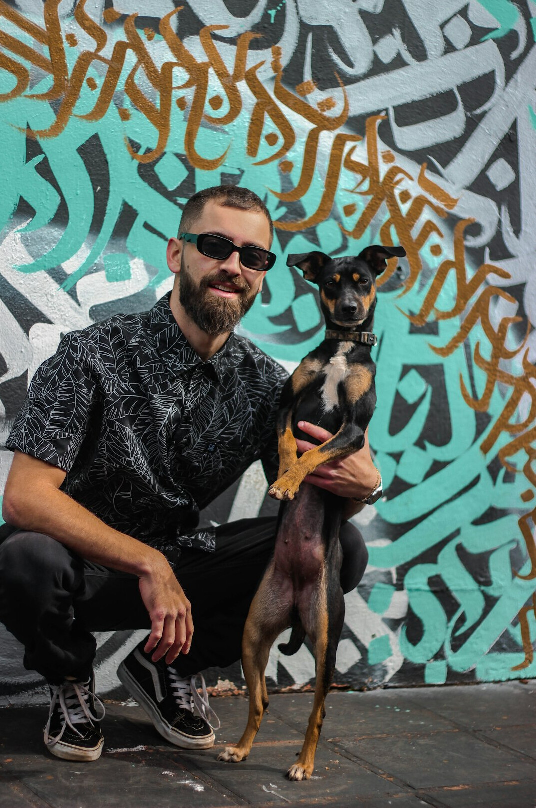 Portrait of a bearded man looking at the camera